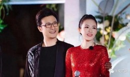 娱乐圈爆料离婚的人,明星夫妻爆出离婚风波，真相揭秘！